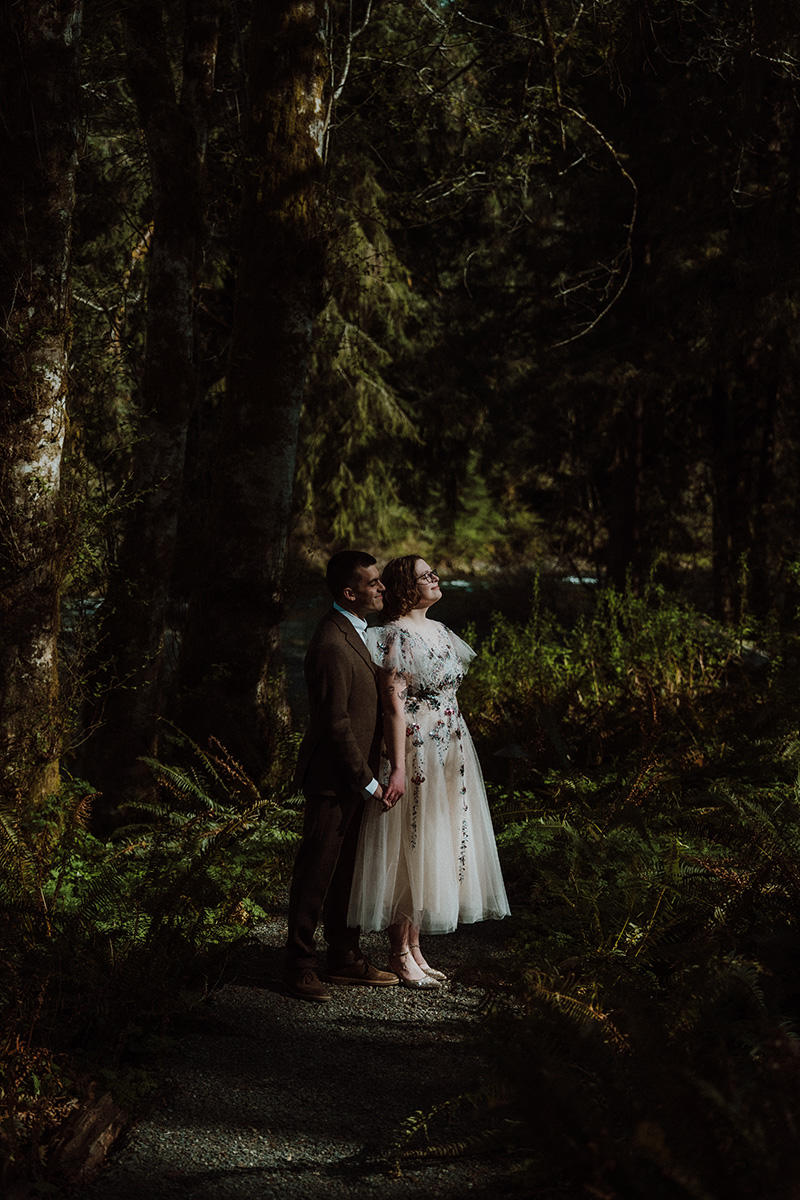 Olympic peninsula, washington